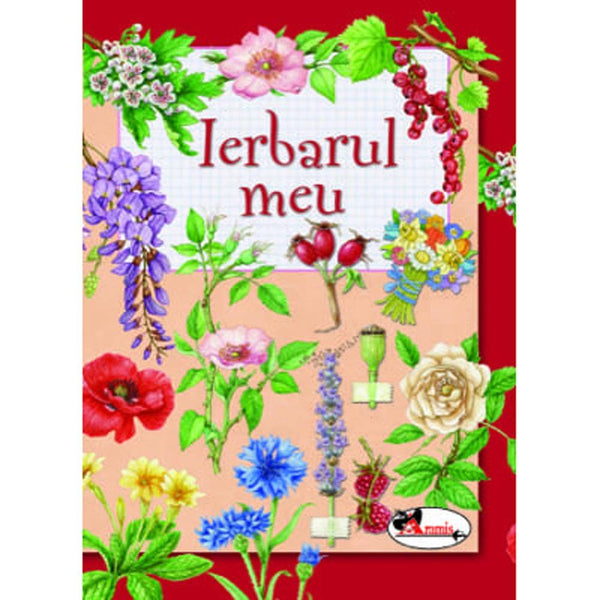Ierbarul meu - Eleonora Barsotti - Delumani - Magazin Online Romanesc 